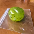 Green fruit slushie stress relief ball toy, handmade soft decompressing sensory squeeze toy. - Potato Slush