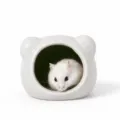 Casa per criceti in ceramica bianca nascondiglio fresco letto animale per piccoli animali - Testa di Gatto Bianca / modello A / Bianco