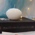 White shell scented candle, unique seashell design home decor aesthetic room decoration gift. - White Tea Scent / White