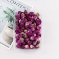 Dried globe amaranth flower heads for DIY aroma candles and wax melt decorations. - Globe Amaranth (Purple) / 25g