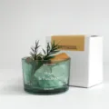 Aromatherapy crystal stone glass jar diffuser set with wood pieces for home office desk decor. - Healing Forest Crystal Diffuser