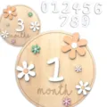 Baby wooden milestone disc photography props, DIY monthly age recording for newborn infants. - Set / Round Colorful Small Flowers