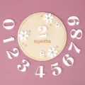 Wooden baby monthly milestone disc newborn photography prop DIY commemorative numbers set - Set / Round White Small Flowers