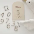 Wooden baby milestone plaque and number cutouts detail, perfect for monthly growth photo props. - Happy Style