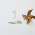 Wooden number month milestone photo props baby first birthday party wall decor set - 1+Months+Windmill