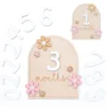 Wooden baby monthly milestone cards, newborn photography props and growth memory display. - Set / Fan-Shaped Colorful Flowers