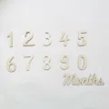 Wooden numbers 0-9 months baby milestone photo props wall decor party newborn photography - Numbers 0-9+Months