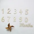 Wooden 0-9 numbers and Months script set with pinwheel for baby milestone photo props. - Numbers 0-9 + Months + Windmill