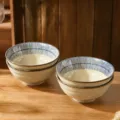 Japanse keramische ramen kom set van 4, elegante blauw gestreepte 20cm soepkom met 1300ml. - 8 inch blauwe regen ramenkommen - Set van 4