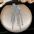 Luxury sparkling zirconia long tassel earrings for women, elegant court banquet jewelry. - Silver