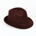 Vue détaillée du chapeau fedora en feutre de laine marron uni, texture fine et bord court. - Café