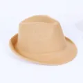 Khaki felt fedora hat detail showing rolled short brim and classic vintage British style. - Camel