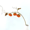 Handmade crochet persimmon branch ornament, cute knitted plant bouquet for home decor gift - 3 Persimmons and 2 Leaves (Vase Not Included)