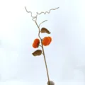 Crochet persimmon branch ornament, handmade yarn floral decor, orange and brown design. - 2 Persimmons and 2 Leaves (Vase Not Included)