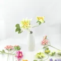 Bouquet de fleurs au crochet fait main pivoine afghane fleur artificielle en laine. - Vert Dégradé