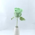 Handcrafted crochet green rose flower bouquet finished product elegant home decor gift variant - Light Green