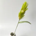 Handgemachte Häkel-Salbeiblume künstliche Pflanze gestrickter Strauß Heimdekoration - Grün B (Hellrosa Staubblatt)