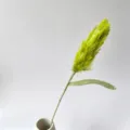 Handgemachte Häkel Salbei Pflanze grüne Blume Strauß Stricken Heimtisch Dekoration - Grün C (Hellgrünes Staubblatt)