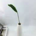 Foglia lavorata all'uncinetto fiore artificiale in vaso di ceramica bianca per la casa. - Foglie di cordilina versione A