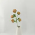 Handmade crochet multi-head rose bouquet finished knitted flower for home decor and gift - Version C / Brown