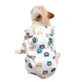 Mignon imperméable pour chien avec motif d'ours et jolie capuche pour petits animaux. - FB / Ours en peluche