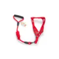 Red pet dog leash and chest harness set, durable nylon traction rope for small dogs walking. - Red Leash and Harness Set