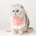 Cute checkered cat bib with lace ruffle and daisy accent, stylish pet accessory for cats dogs. - Red Plaid Bibs