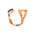 Oranger Haustier Hundeleine und Geschirr Set, langlebiges Nylon Seil für kleine Hunde. - XS / Set aus Leine und Geschirr in Orange