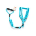 Blue pet harness and leash set with soft foam handle for small dogs daily walking training. - Sky Blue Leash and Harness Set