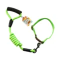 Durable green dog leash with comfortable foam handle and metal clip for daily walking. - Green Leash and Collar Set