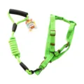 Green dog leash and harness set with comfortable foam handle, durable nylon for small pets. - Green Leash and Harness Set