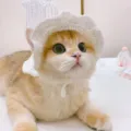 Handmade white lace pet hat, cute crochet headwear for cats and small dogs, elegant costume. - Pure White
