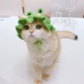 Handmade crochet pet hat with ruffles, cute frog design headwear for cats and dogs. - Frog