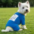 Sommer atmungsaktive Mesh Hunde Vierbeiner Kleidung Sonnenschutz Haustier Overall Welpen - S / Vierbeiner-Kleidung / Dunkelblau