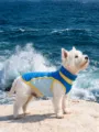 Atmungsaktive Mesh Hund Kühlweste Sommer Sonnenschutz Haustier Bekleidung Sport - S / Dunkle Farbe