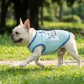 Summer breathable mesh dog vest sun protection pet clothing for French bulldog light blue sku - S / Camisole / Mint Green