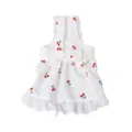 Hübsches Kirschen-Print Haustier Hundekleid Sommer weiße Spitze Welpe Katze süßes Cami - S / Latzkleid mit Rüschen [Kirsch-Design]