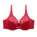 Detailed view of red lace ultra-thin plus-size bra, delicate floral embroidery cup design. - 38E/85E / Red