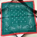 French vintage style green red silk square scarf, elegant paisley neck wrap accessory. - HX-17