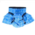 Blauwe fysiologische huisdierenbroek met wit rasterpatroon en volant, detailweergave. - Blauw spinnenweb