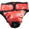 Red dog sanitary pants for large female dogs with cute bow print and adjustable velcro closure. - XS / Red Bowknot