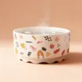 Ceramic pet heating water bowl with cute doodle pattern, constant temperature cat water dispenser. - Constant Temperature Ceramic Bowls - Press Switch and 1.4m Cable