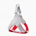 Pettorina regolabile per cani con cinghie riflettenti e ciondolo luminoso a LED per animali. - M - peso consigliato 20-30 jin / Pettorina anti-fuga rossa (senza guinzaglio) con ciondolo luminoso in omaggio