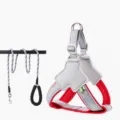 Set pettorina e guinzaglio per cani con corda riflettente e ciondolo luminoso comodo. - M - peso consigliato 20-30 jin / Pettorina anti-fuga rossa e guinzaglio riflettente da 1,6 m con ciondolo luminoso in omaggio