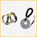 Set Pettorina e Guinzaglio per Cani Verde Militare Guinzaglio Ispessito 1,6m per Animali - S (Peso consigliato 4-7,5 kg) / Verde militare [con guinzaglio rinforzato da 1,6 m]