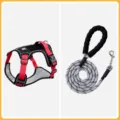 Set Pettorina e Guinzaglio per Cane Gilet Riflettente Resistente per Cani Grandi - S (Peso consigliato 4-7,5 kg) / Nero rosso [con guinzaglio rinforzato da 1,6 m]
