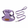 Set imbracatura e guinzaglio per cani viola con fiocco, gilet comodo per piccoli animali domestici. - Taglia XXS (Set Pettorina e Guinzaglio) / Viola