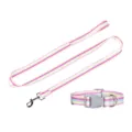 Conjunto de collar y correa a rayas coloridas para mascotas, de nailon resistente. - Correa + collar - Rosa