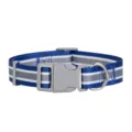 Collar para perro de nailon ajustable con rayas azules y hebilla de plástico resistente. - M / Collar - Gris azulado