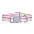 Collar para mascotas de arco iris colorido con hebilla resistente y anillo en D para perros. - Rosa